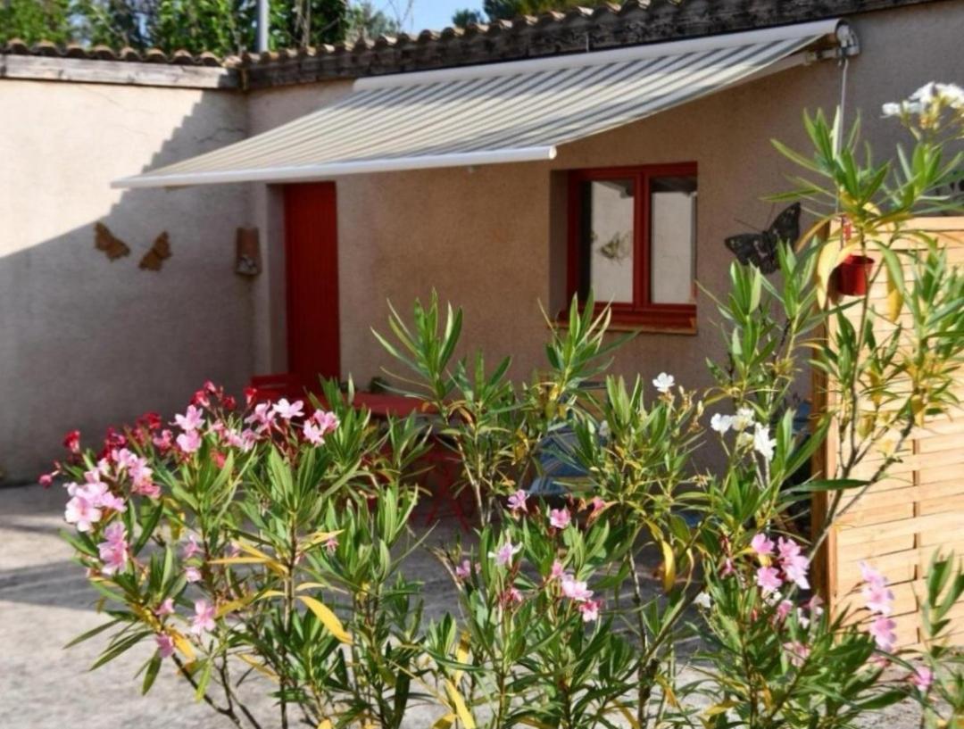 Mas La Belle Ambroise - Chambres D'Hotes Et Gite แซงต์อองบัวซ์ ภายนอก รูปภาพ